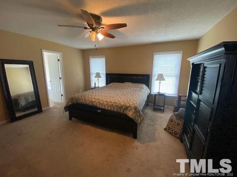221 Waters Edge Dr, Erwin, NC 28339 photo 18