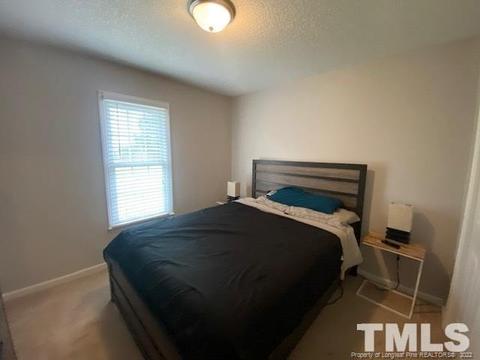 221 Waters Edge Dr, Erwin, NC 28339 photo 14