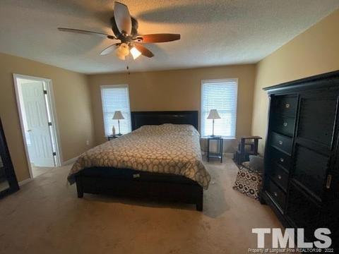 221 Waters Edge Dr, Erwin, NC 28339 photo 17