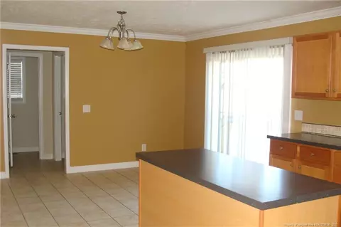 229 Checkmate Ct, Cameron, NC 28326 photo 5