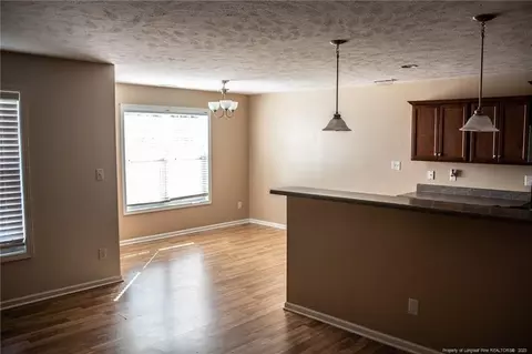 45 Schoomaker Ct, Broadway, NC 27505 photo 9