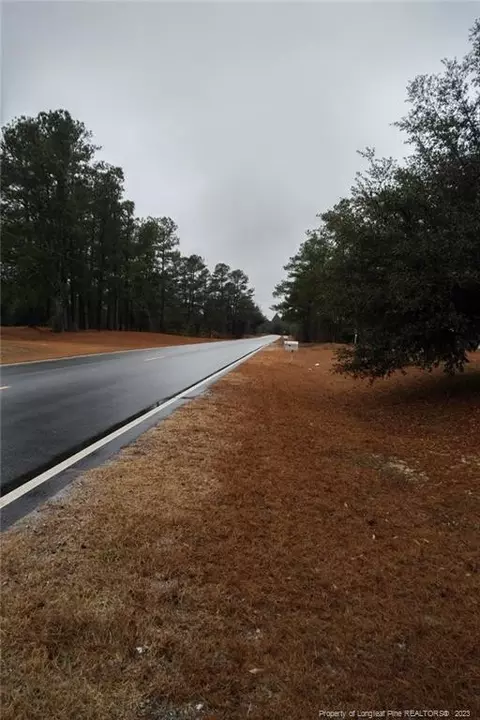723 Fox Rd, Marston, NC 28363 photo 8