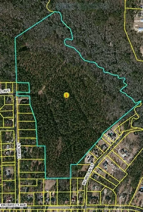 702 Lewis Street, Raeford, NC 28376