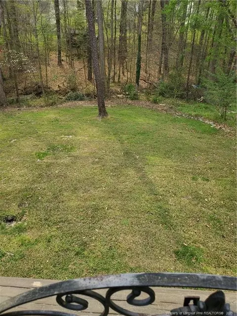 216 Ruby Ridge Rd, Durham, NC 27703 photo 29