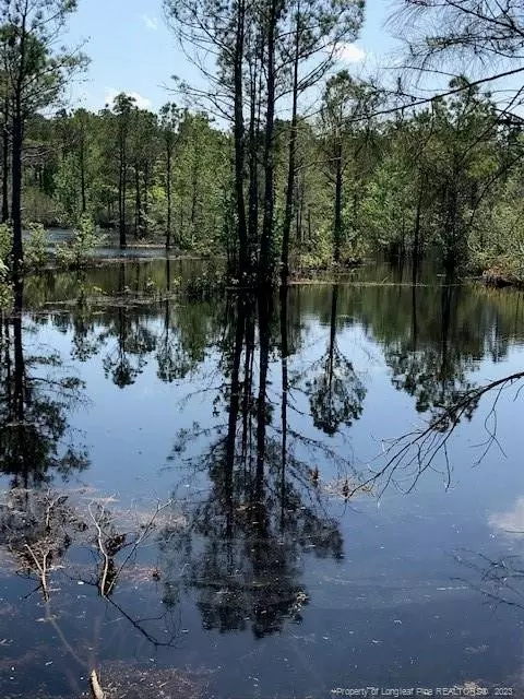 Off Nc 53 Highway E, White Lake, NC 28337 photo 21