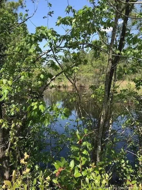 Off Nc 53 Highway E, White Lake, NC 28337 photo 26