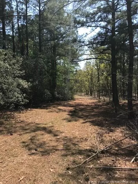Off Nc 53 Highway E, White Lake, NC 28337 photo 25