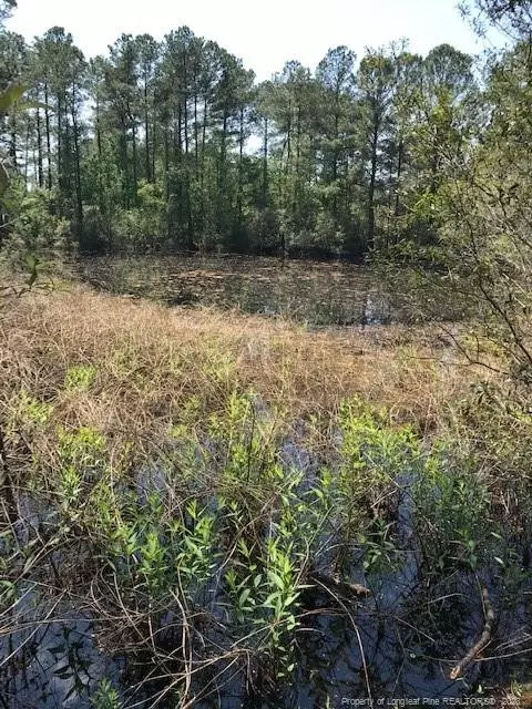 Off Nc 53 Highway E, White Lake, NC 28337 photo 24