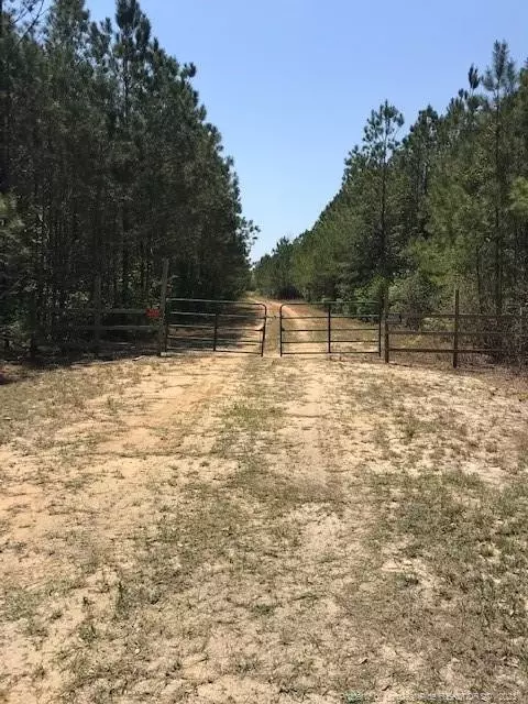 Off Nc 53 Highway E, White Lake, NC 28337 photo 16