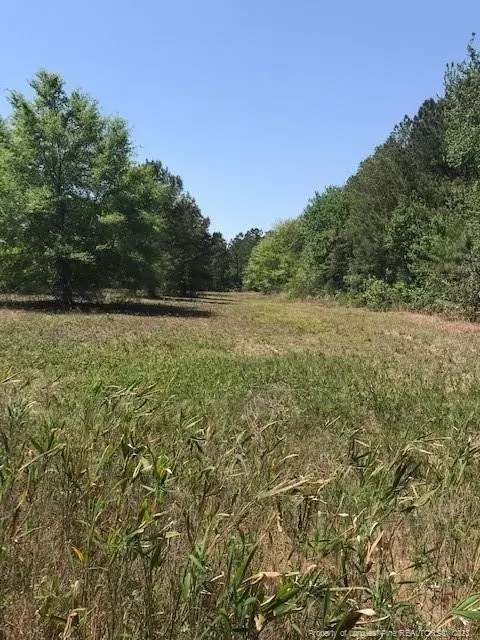 Off Nc 53 Highway E, White Lake, NC 28337 photo 17