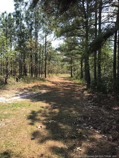 Off Nc 53 Highway E, White Lake, NC 28337 photo 36