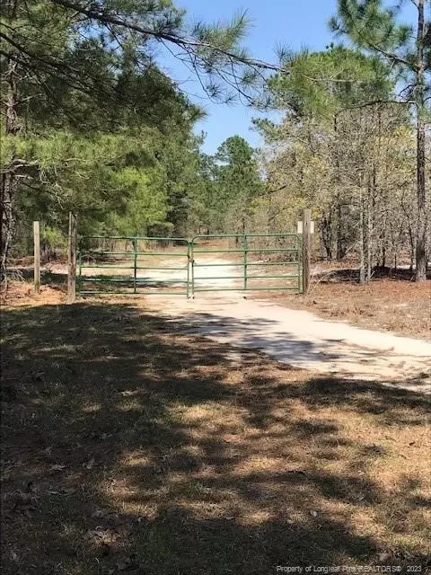 Off Nc 53 Highway E, White Lake, NC 28337 photo 37