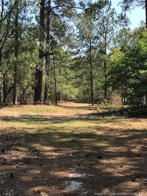Off Nc 53 Highway E, White Lake, NC 28337 photo 23