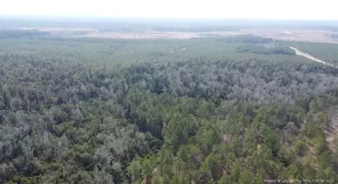 Off Nc 53 Highway E, White Lake, NC 28337 photo 8