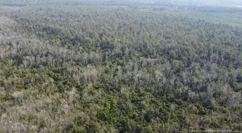 Off Nc 53 Highway E, White Lake, NC 28337 photo 9