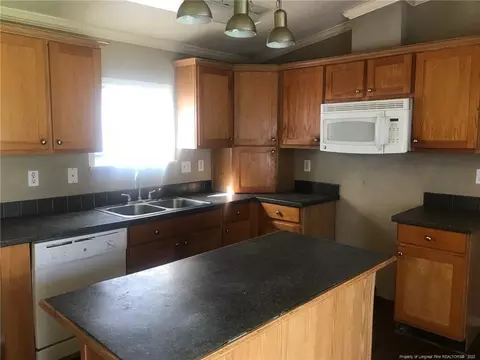 66 Hicks Williams Ln, Bunnlevel, NC 28323 photo 4