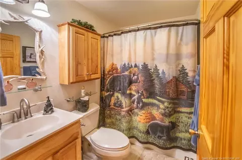 303 Tinys Mountain Dr, Deep Gap, NC 28618 photo 13