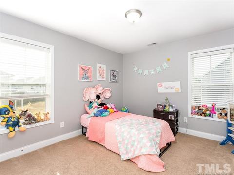 151 Colonist Pl, Cameron, NC 28326 photo 28