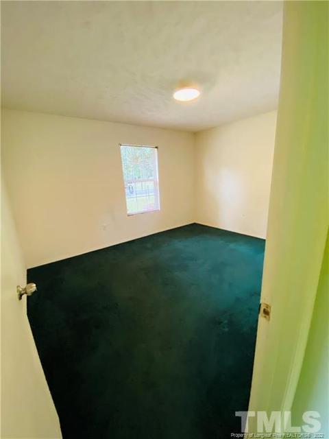 415 Dowd St, Carthage, NC 28327 photo 21