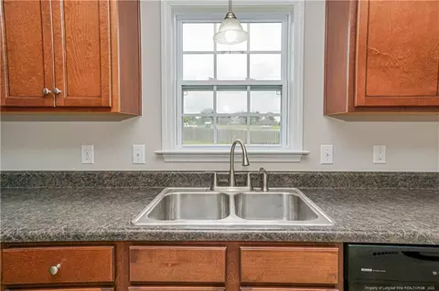 153 Broadhead Ct, Angier, NC 27501 photo 15