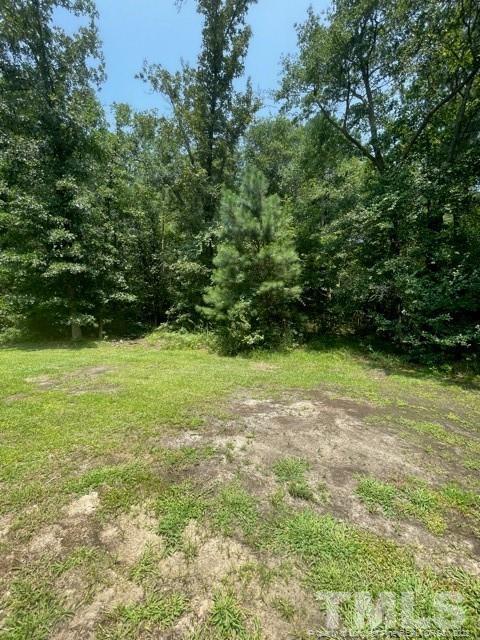 77 Juno Dr, Broadway, NC 27505 photo 11