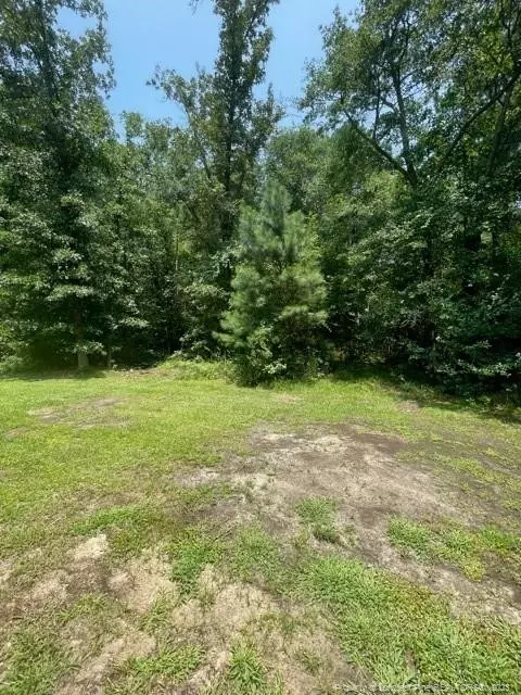 77 Juno Dr, Broadway, NC 27505 photo 11
