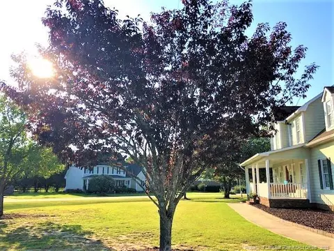 9615 Lukes Run Rd, Linden, NC 28356 photo 11