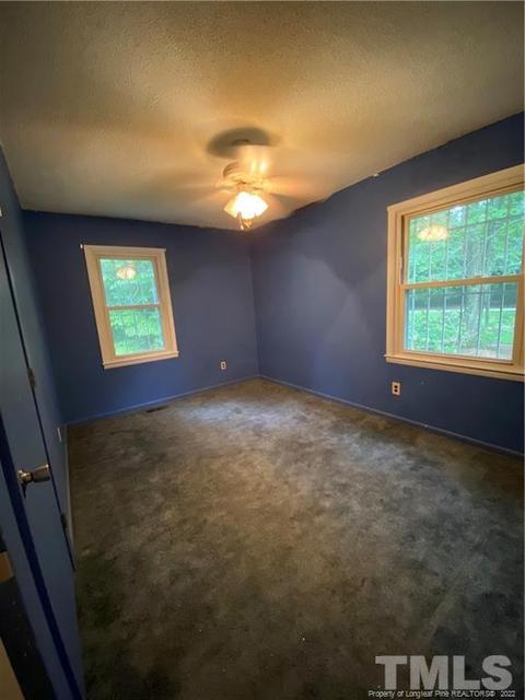 7437 River Rd, Wade, NC 28395 photo 10