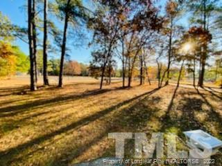 90 Cypress Rd, Cameron, NC 28326 photo 4