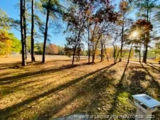 90 Cypress Rd, Cameron, NC 28326 photo 4