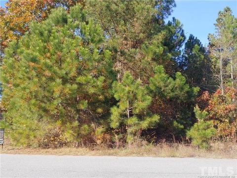 25 Tower Dr, Broadway, NC 27505 photo 1