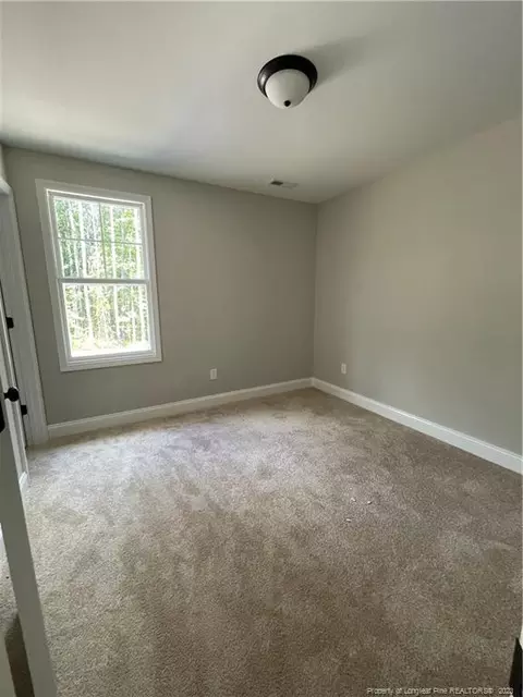 2937 Wire Rd, Erwin, NC 28339 photo 11