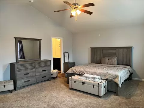 359 Crane Way, Bunnlevel, NC 28323 photo 24