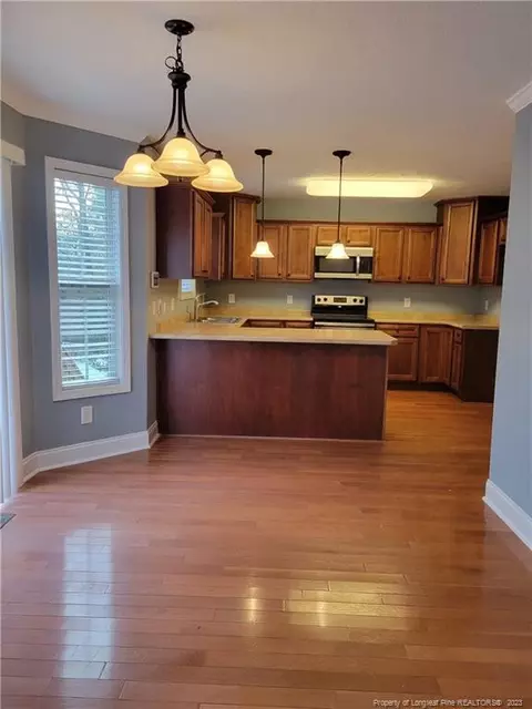 129 Micro Ct, Broadway, NC 27505 photo 10