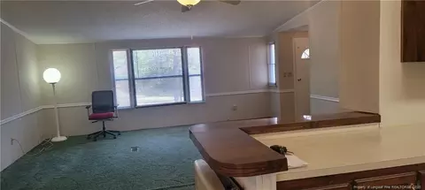 312 Butcher Rd, Cameron, NC 28326 photo 9