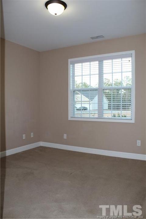 396 Juno Dr, Broadway, NC 27505 photo 27