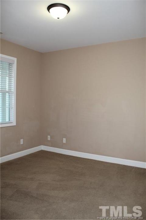 396 Juno Dr, Broadway, NC 27505 photo 26