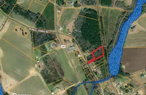 207 Pendergraft Rd, Bunnlevel, NC 28323 photo 1
