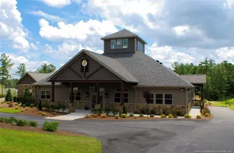 45 Timber Skip Dr, Spring Lake, NC 28390 photo 11