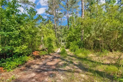 30 Rabbit Run Ln, Cameron, NC 28326 photo 16