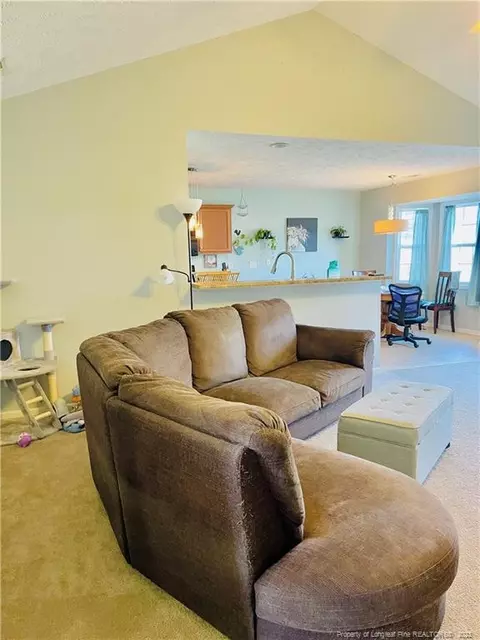 36 Michael Ct, Erwin, NC 28339 photo 6