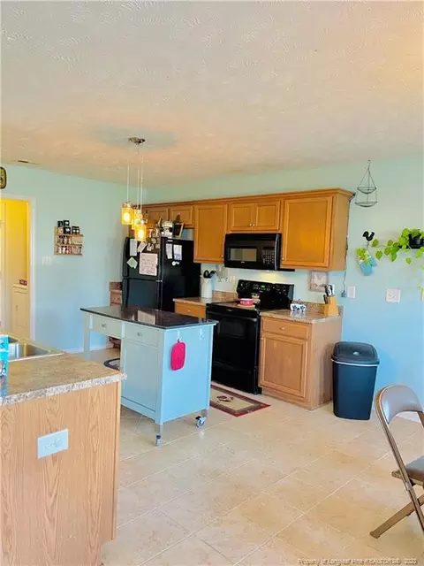 36 Michael Ct, Erwin, NC 28339 photo 11