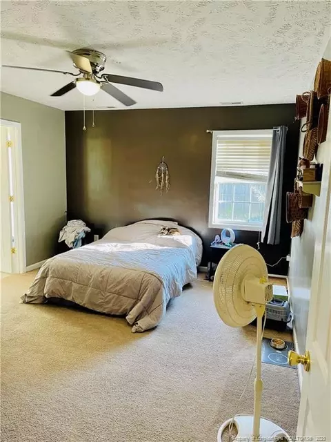 36 Michael Ct, Erwin, NC 28339 photo 22