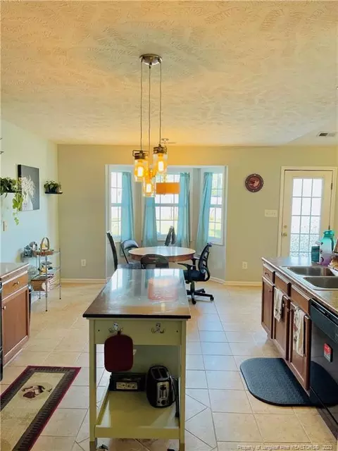 36 Michael Ct, Erwin, NC 28339 photo 10