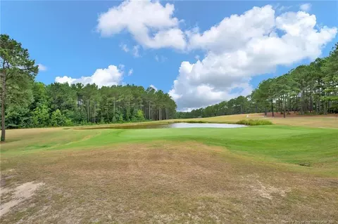 94 Pine Hawk Dr, Spring Lake, NC 28390 photo 33