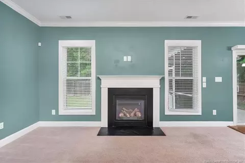 149 Old Glory Ln, Cameron, NC 28326 photo 14