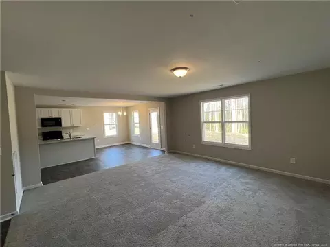 54 Killdeer Ct, Godwin, NC 28344 photo 3
