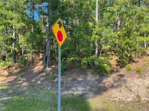 Mcgill Road, Vass, NC 28394 photo 29