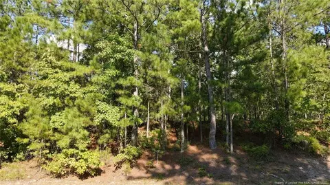 Mcgill Road, Vass, NC 28394 photo 17