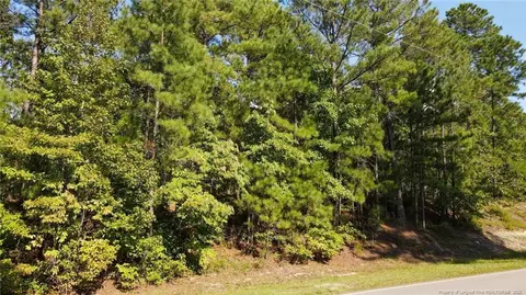 Mcgill Road, Vass, NC 28394 photo 26